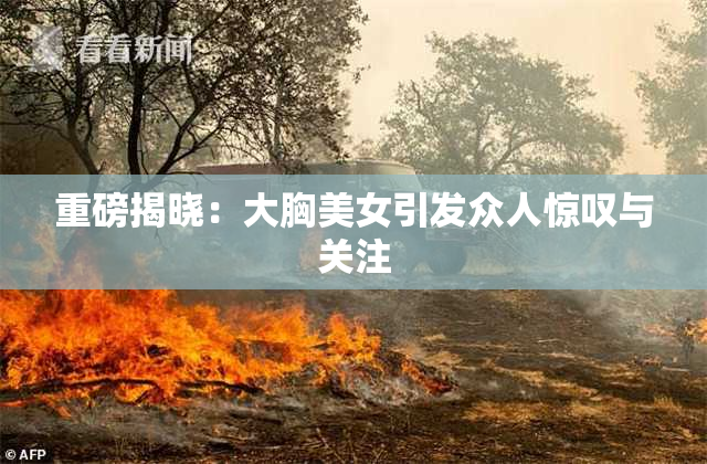 重磅揭晓：大胸美女引发众人惊叹与关注