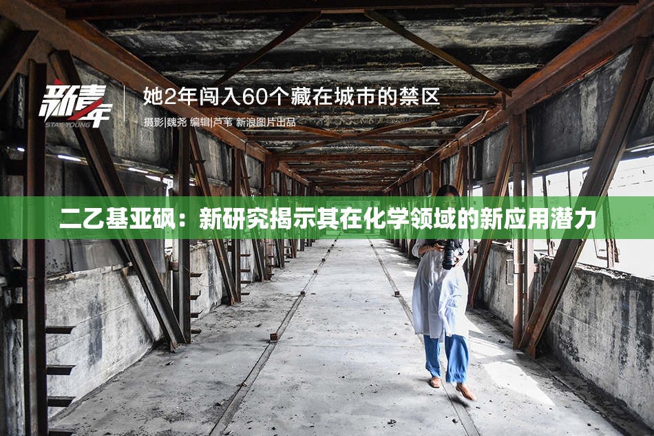 二乙基亚砜：新研究揭示其在化学领域的新应用潜力