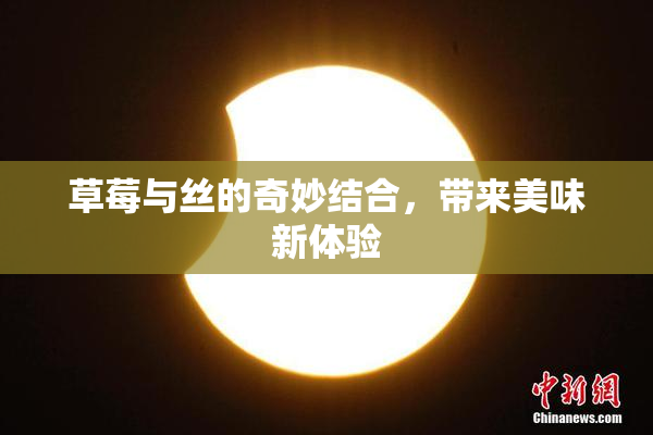 草莓与丝的奇妙结合，带来美味新体验