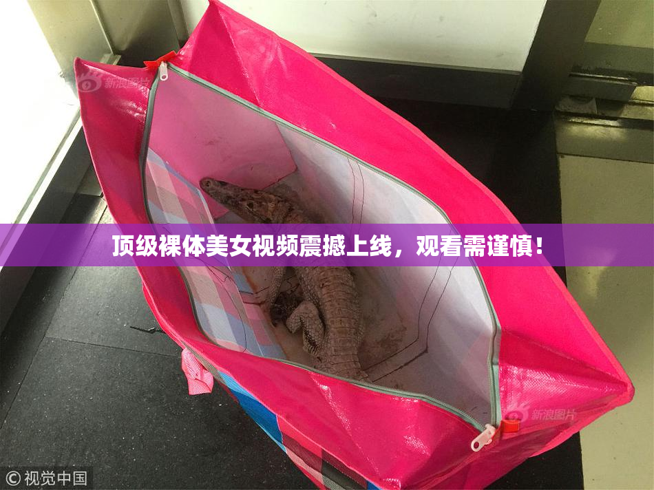 顶级裸体美女视频震撼上线，观看需谨慎！