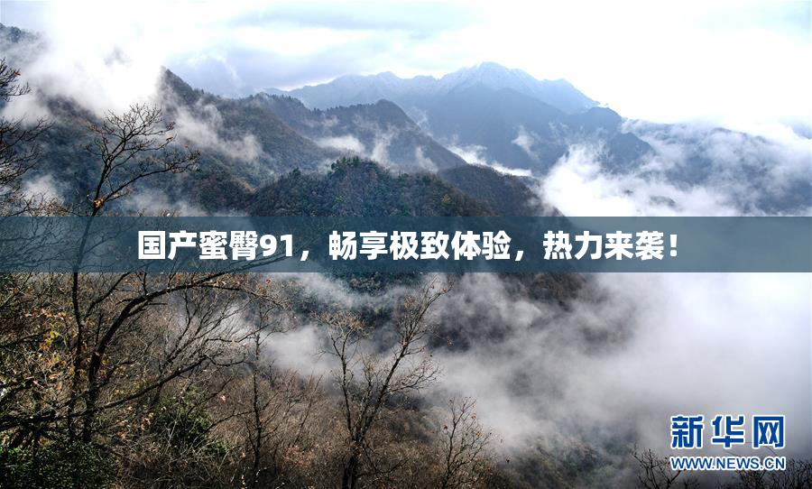国产蜜臀91，畅享极致体验，热力来袭！