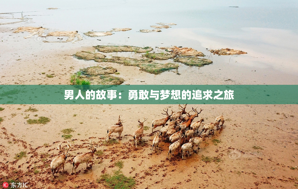 男人的故事：勇敢与梦想的追求之旅