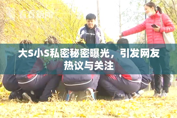 大S小S私密秘密曝光，引发网友热议与关注