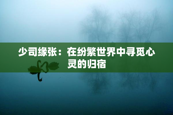 少司缘张：在纷繁世界中寻觅心灵的归宿