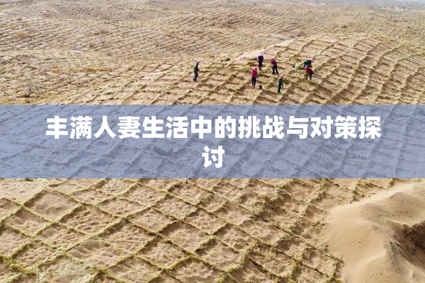 丰满人妻生活中的挑战与对策探讨