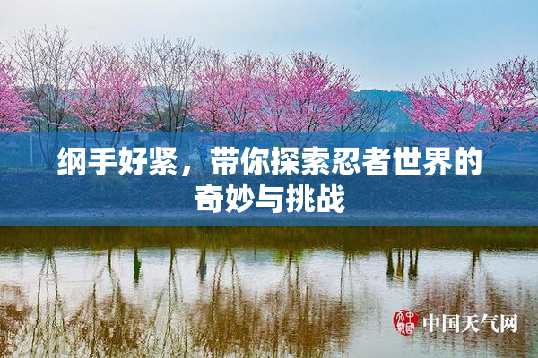 纲手好紧，带你探索忍者世界的奇妙与挑战
