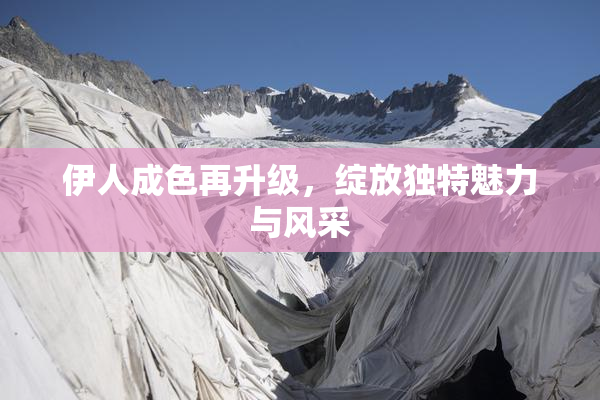 伊人成色再升级，绽放独特魅力与风采