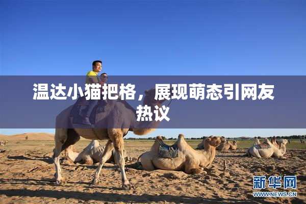温达小猫把格，展现萌态引网友热议