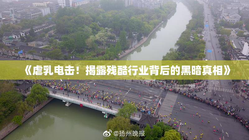 《虐乳电击！揭露残酷行业背后的黑暗真相》