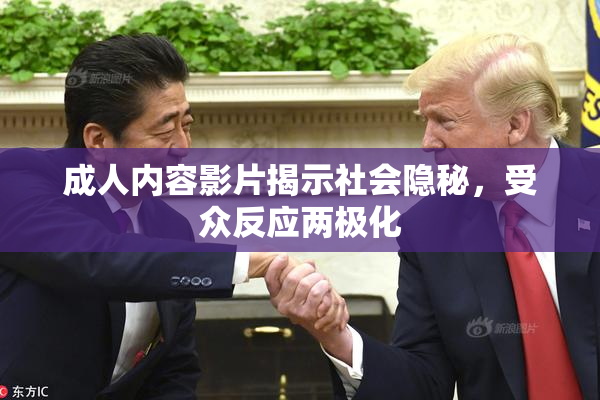 成人内容影片揭示社会隐秘，受众反应两极化