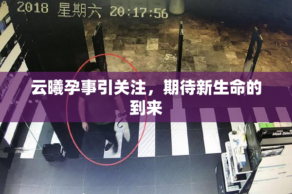 云曦孕事引关注，期待新生命的到来