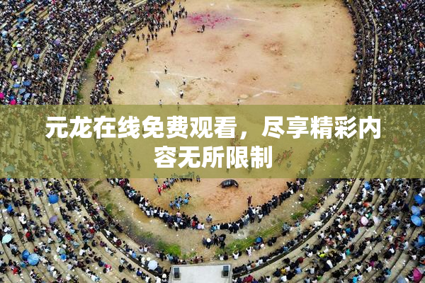 元龙在线免费观看，尽享精彩内容无所限制