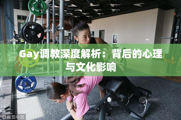 Gay调教深度解析：背后的心理与文化影响
