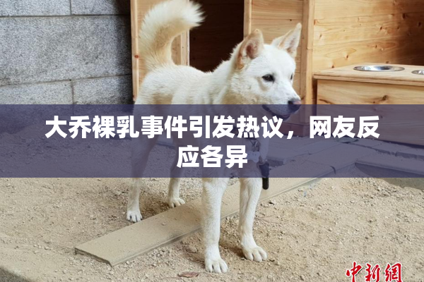 大乔裸乳事件引发热议，网友反应各异