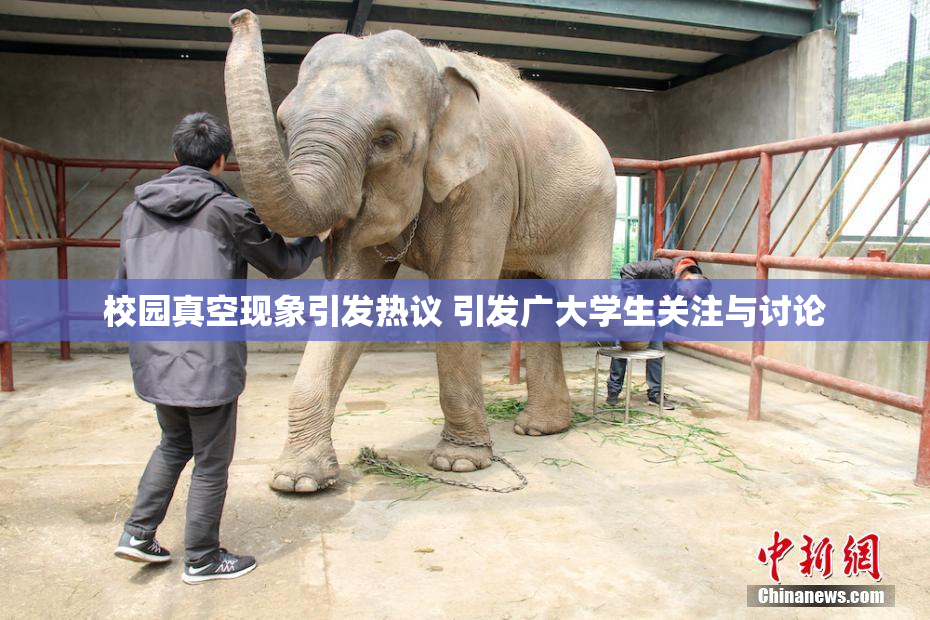 校园真空现象引发热议 引发广大学生关注与讨论