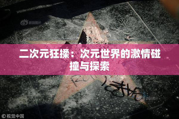 二次元狂揉：次元世界的激情碰撞与探索
