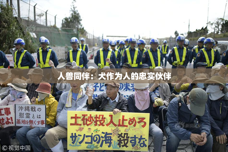 人兽同伴：犬作为人的忠实伙伴
