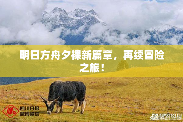 明日方舟夕裸新篇章，再续冒险之旅！