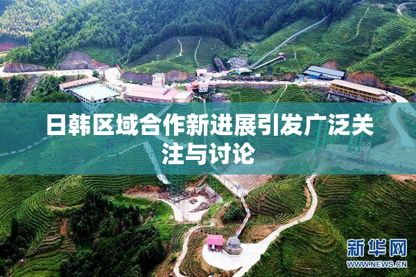 日韩区域合作新进展引发广泛关注与讨论