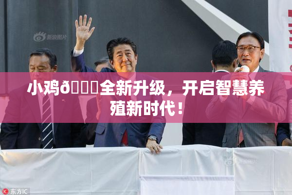 小鸡🐔全新升级，开启智慧养殖新时代！
