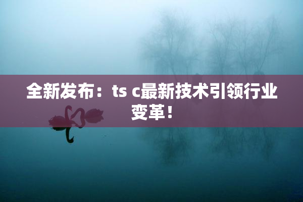 全新发布：ts c最新技术引领行业变革！