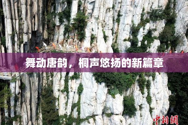 舞动唐韵，桐声悠扬的新篇章