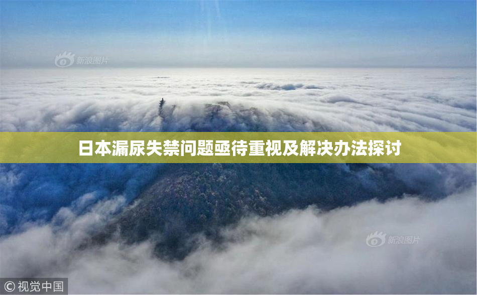 日本漏尿失禁问题亟待重视及解决办法探讨