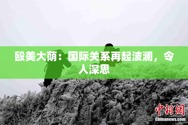 殴美大荫：国际关系再起波澜，令人深思