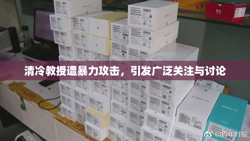 清冷教授遭暴力攻击，引发广泛关注与讨论