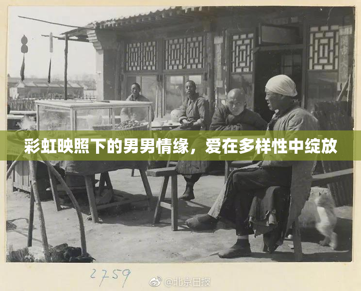 彩虹映照下的男男情缘，爱在多样性中绽放