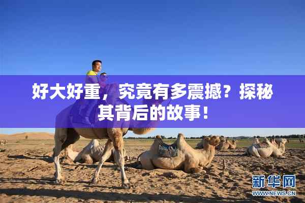 好大好重，究竟有多震撼？探秘其背后的故事！