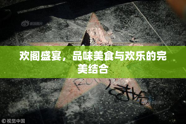 欢阁盛宴，品味美食与欢乐的完美结合