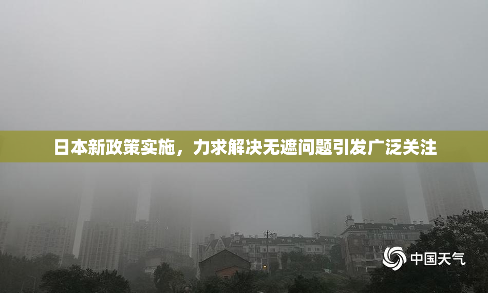 日本新政策实施，力求解决无遮问题引发广泛关注