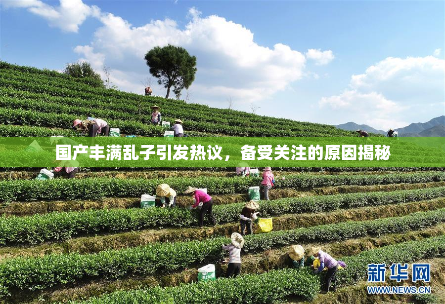 国产丰满乱子引发热议，备受关注的原因揭秘