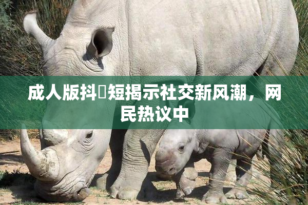 成人版抖抈短揭示社交新风潮，网民热议中