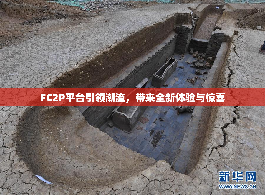 FC2P平台引领潮流，带来全新体验与惊喜
