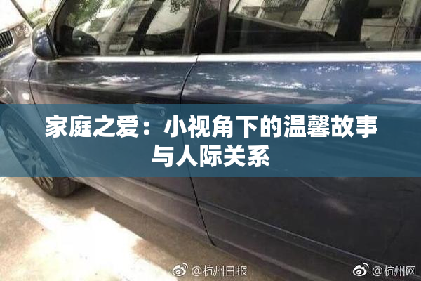 家庭之爱：小视角下的温馨故事与人际关系