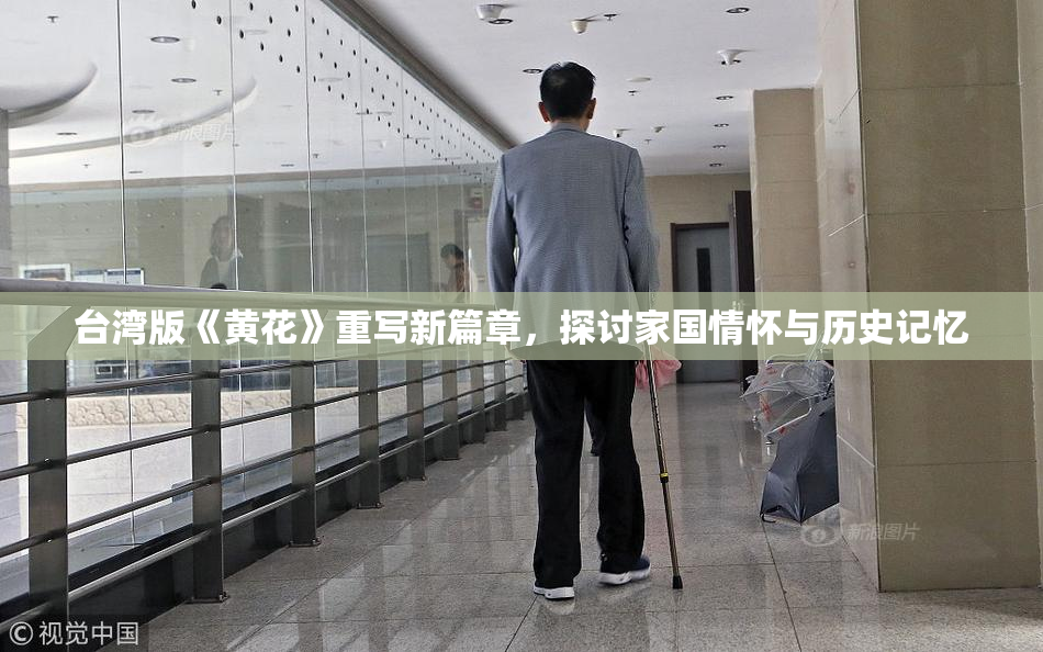 台湾版《黄花》重写新篇章，探讨家国情怀与历史记忆