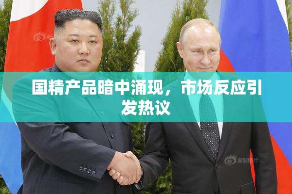 国精产品暗中涌现，市场反应引发热议