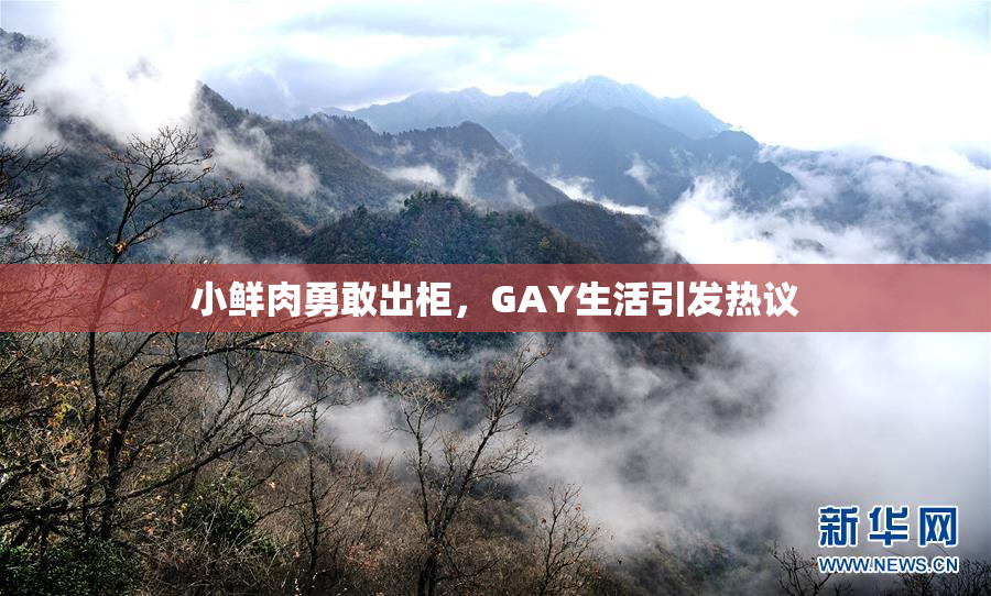 小鲜肉勇敢出柜，GAY生活引发热议