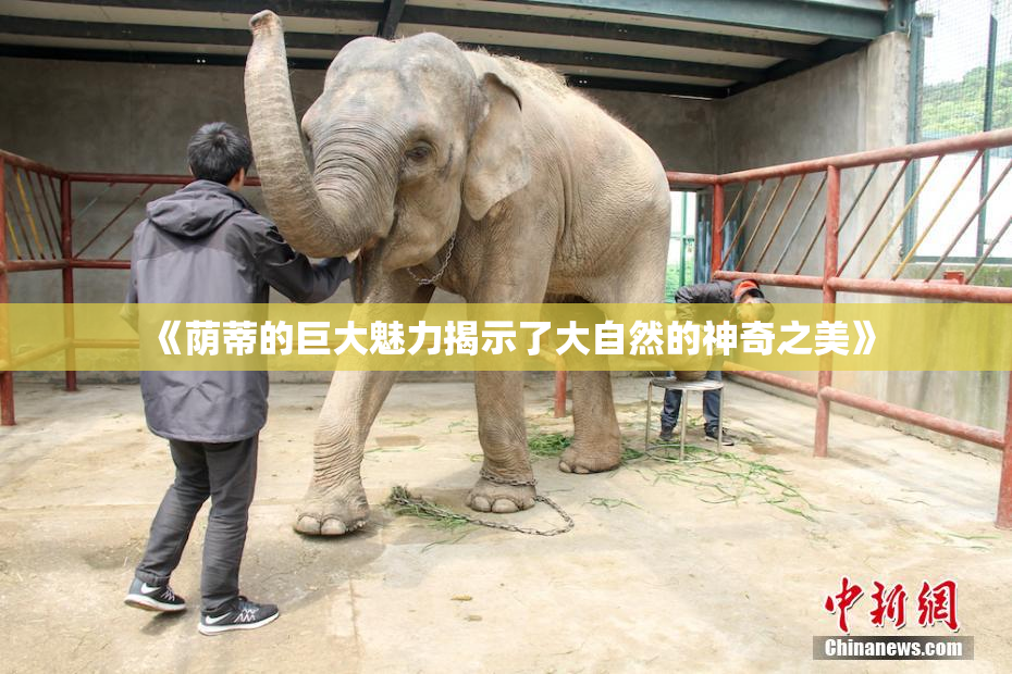 《荫蒂的巨大魅力揭示了大自然的神奇之美》