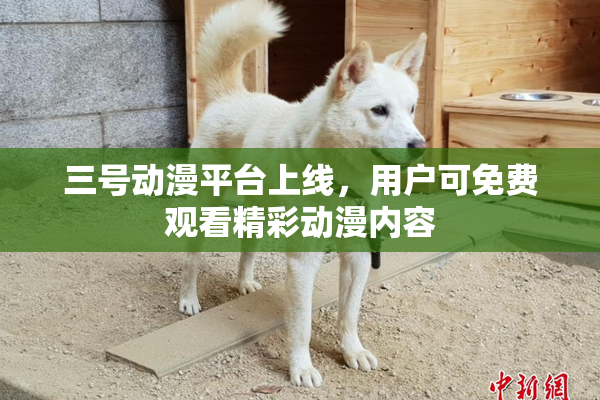 三号动漫平台上线，用户可免费观看精彩动漫内容
