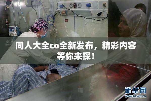 同人大全co全新发布，精彩内容等你来探！
