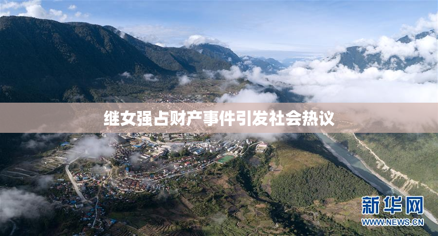 继女强占财产事件引发社会热议