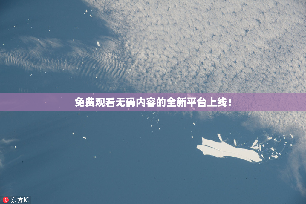 免费观看无码内容的全新平台上线！
