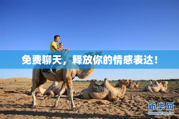 免费聊天，释放你的情感表达！