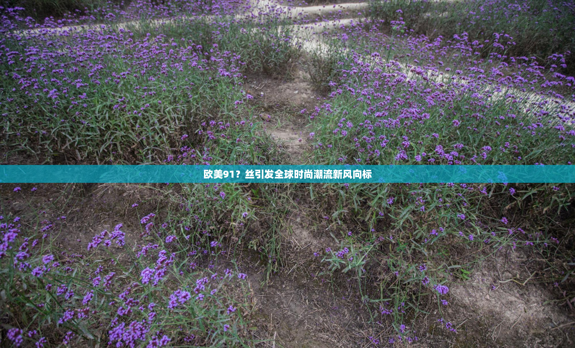 欧美91？丝引发全球时尚潮流新风向标