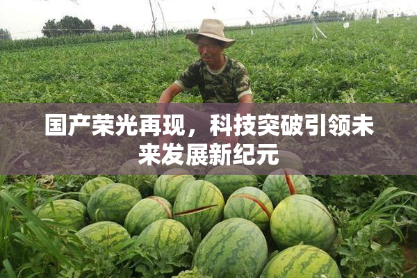 国产荣光再现，科技突破引领未来发展新纪元