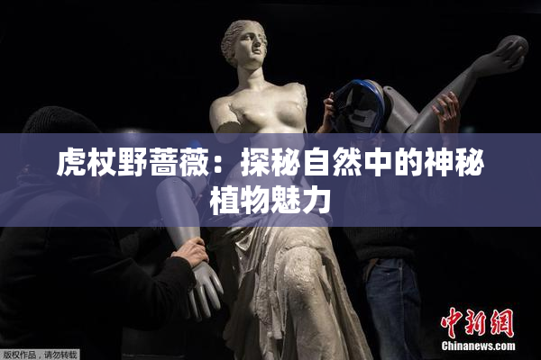 虎杖野蔷薇：探秘自然中的神秘植物魅力