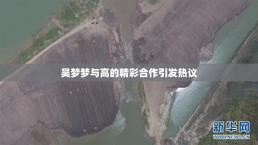 吴梦梦与高的精彩合作引发热议